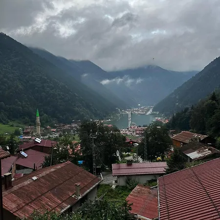 Auga Delux * Uzungöl