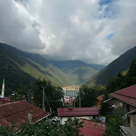 شقة Auga أوزونغول