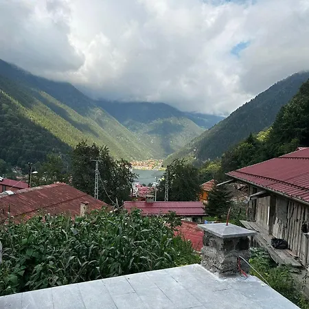 شقة Auga أوزونغول