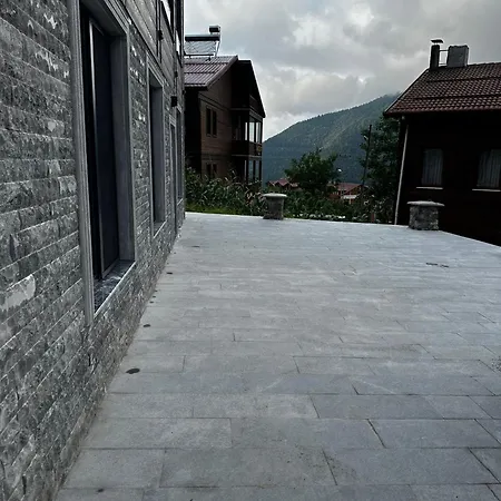 Auga *